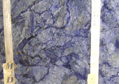 blue-bahaia-b826114