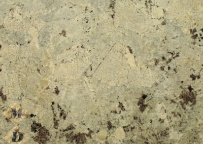 delicatus-b552484