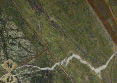 rain-forest-green-b972596